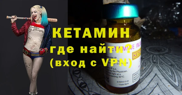сатива Новозыбков
