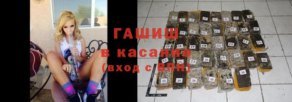 сатива Новозыбков