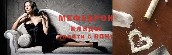 сатива Новозыбков
