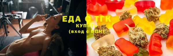 сатива Новозыбков