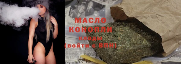сатива Новозыбков