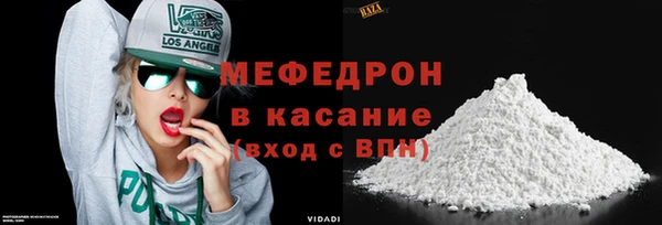 сатива Новозыбков