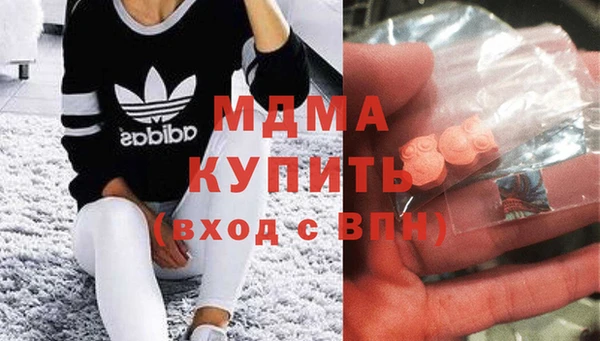 сатива Новозыбков