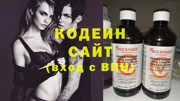 сатива Новозыбков