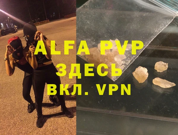 Альфа ПВП Новодвинск
