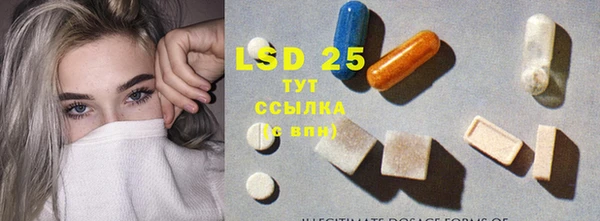 сатива Новозыбков