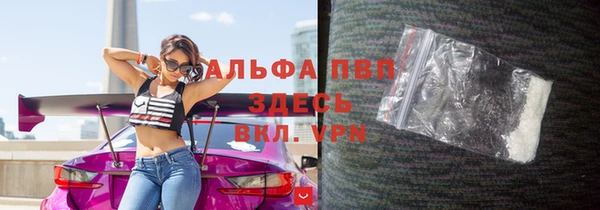 сатива Новозыбков